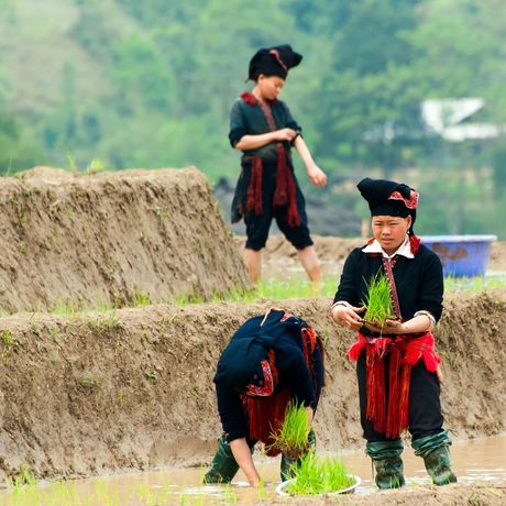 Cosa dicono di Asiatica Travel dopo il Press Tour?