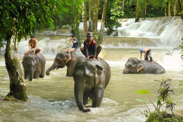 Alla scoperta della natura in Laos