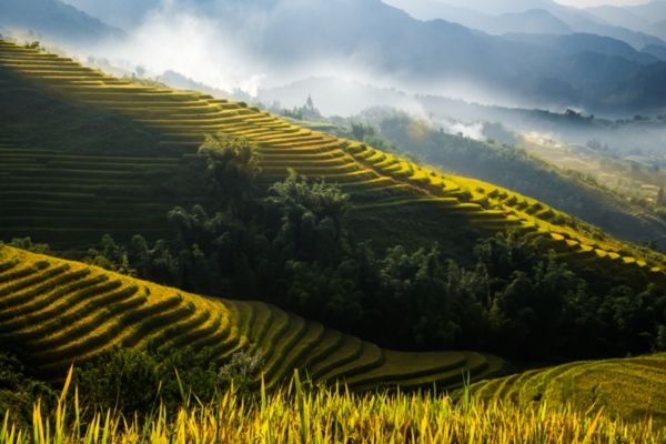 Alla scoperta delle terrazze di riso in Vietnam del Nord