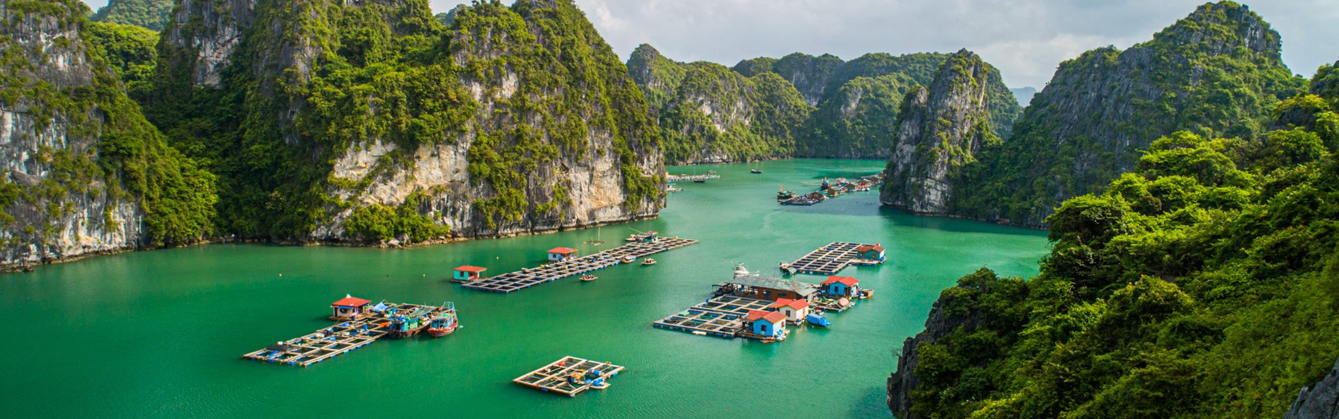 Viaggio in Vietnam ad agosto: meteo e luoghi da visitare