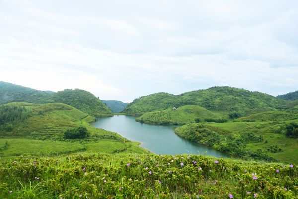 Pu Bin - Guida di viaggio