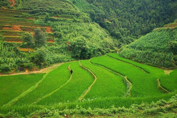 Vietnam del Nord: Guida completa per vostro viaggio 2024