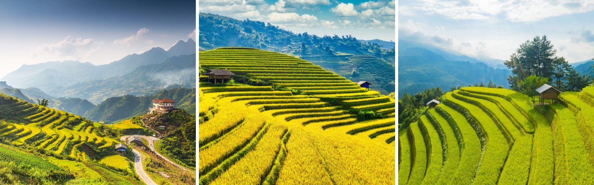 Alla scoperta delle terrazze di riso in Vietnam del Nord