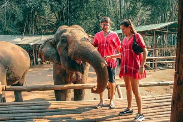 Chiang Mai - Santuario degli elefanti