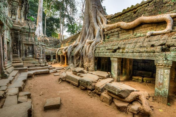 Siem Reap - Angkor Thom - Ta Prohm - Angkor Wat