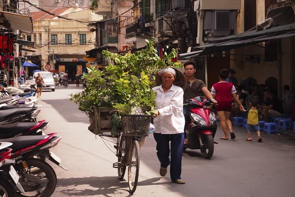 Hanoi visita