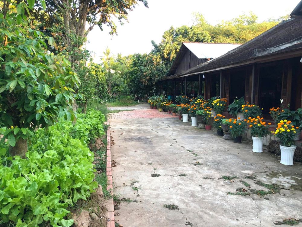 Homestay Hai Dao