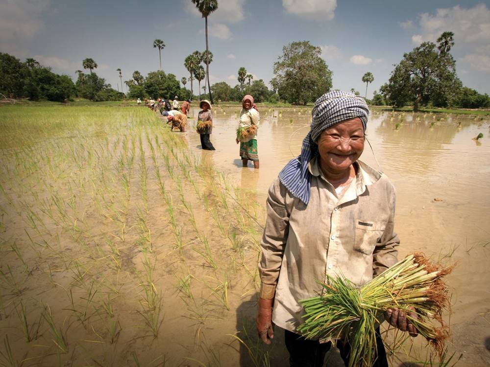 Cambogia ad ottobre: clima e informazioni utili