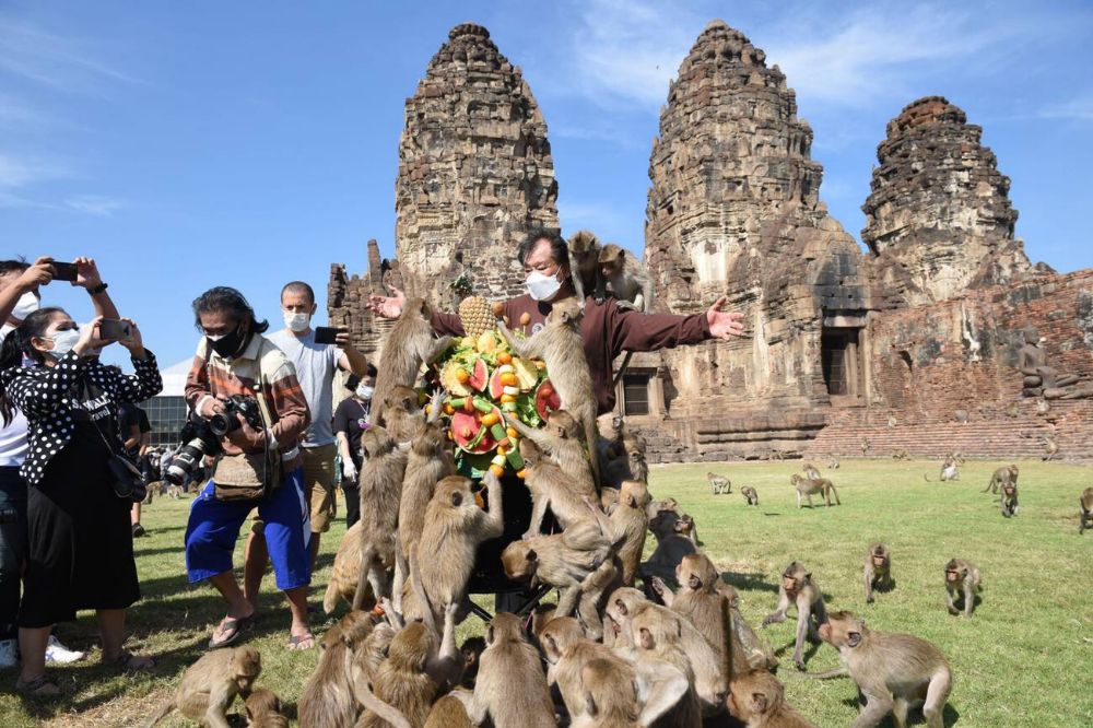 Festival delle scimmie a Lopburi