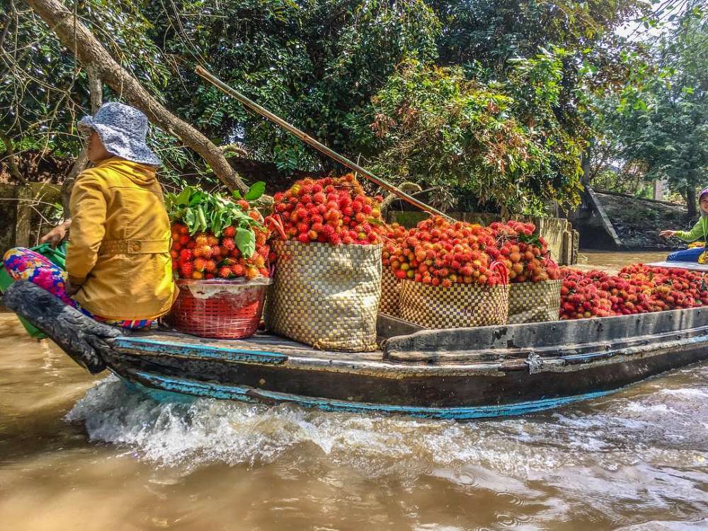 frutteti delta mekong vietnam