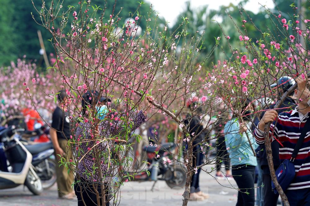 hanoi gennaio