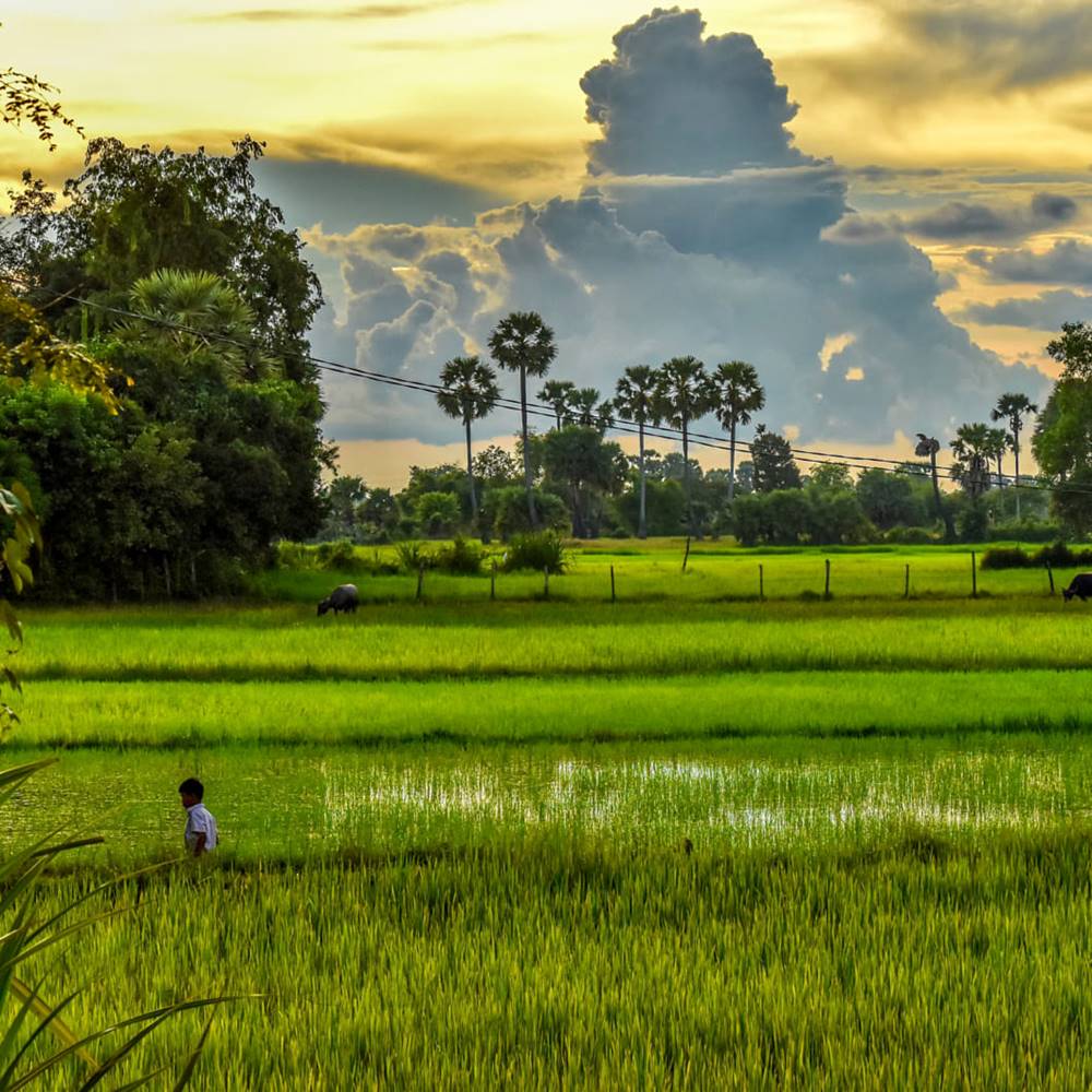 Il periodo migliore per viaggiare in Cambogia