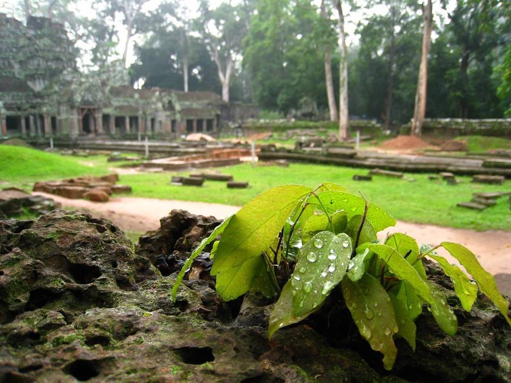 Il periodo migliore per viaggiare in Cambogia