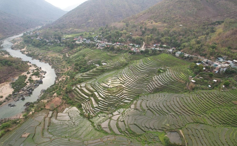 Le terrazze di riso in Vietnam
