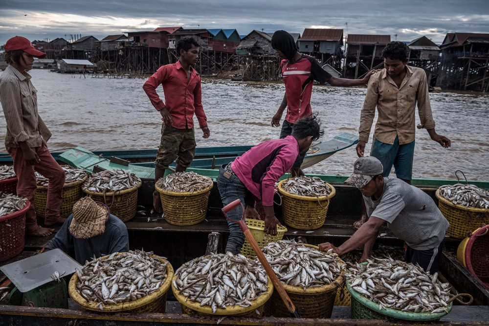 Tonle Sap: guida e consigli (aggiornato 2024)