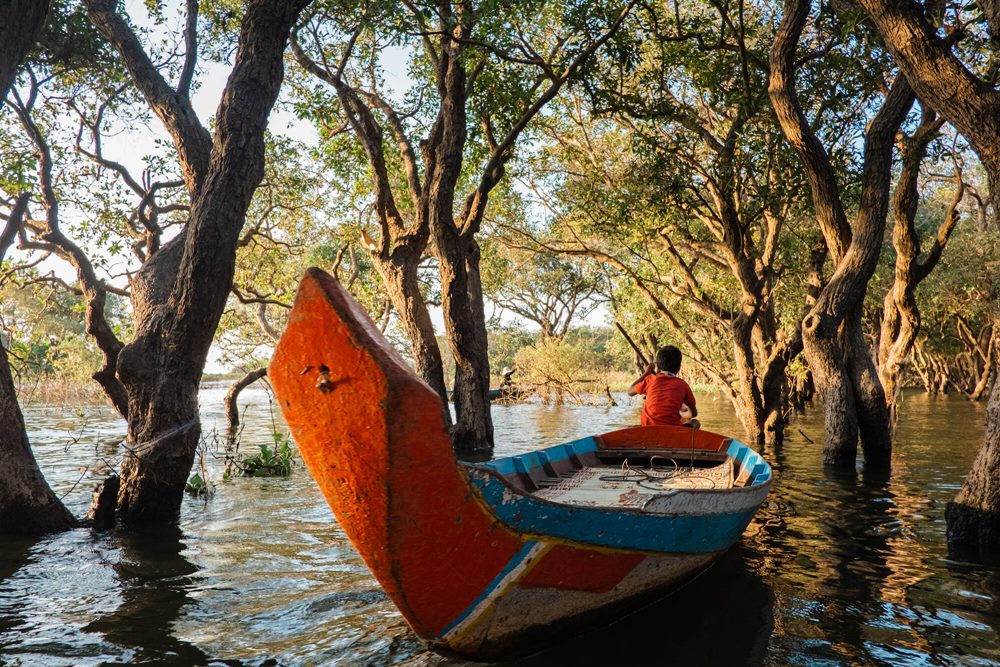 Tonle Sap: guida e consigli (aggiornato 2024)